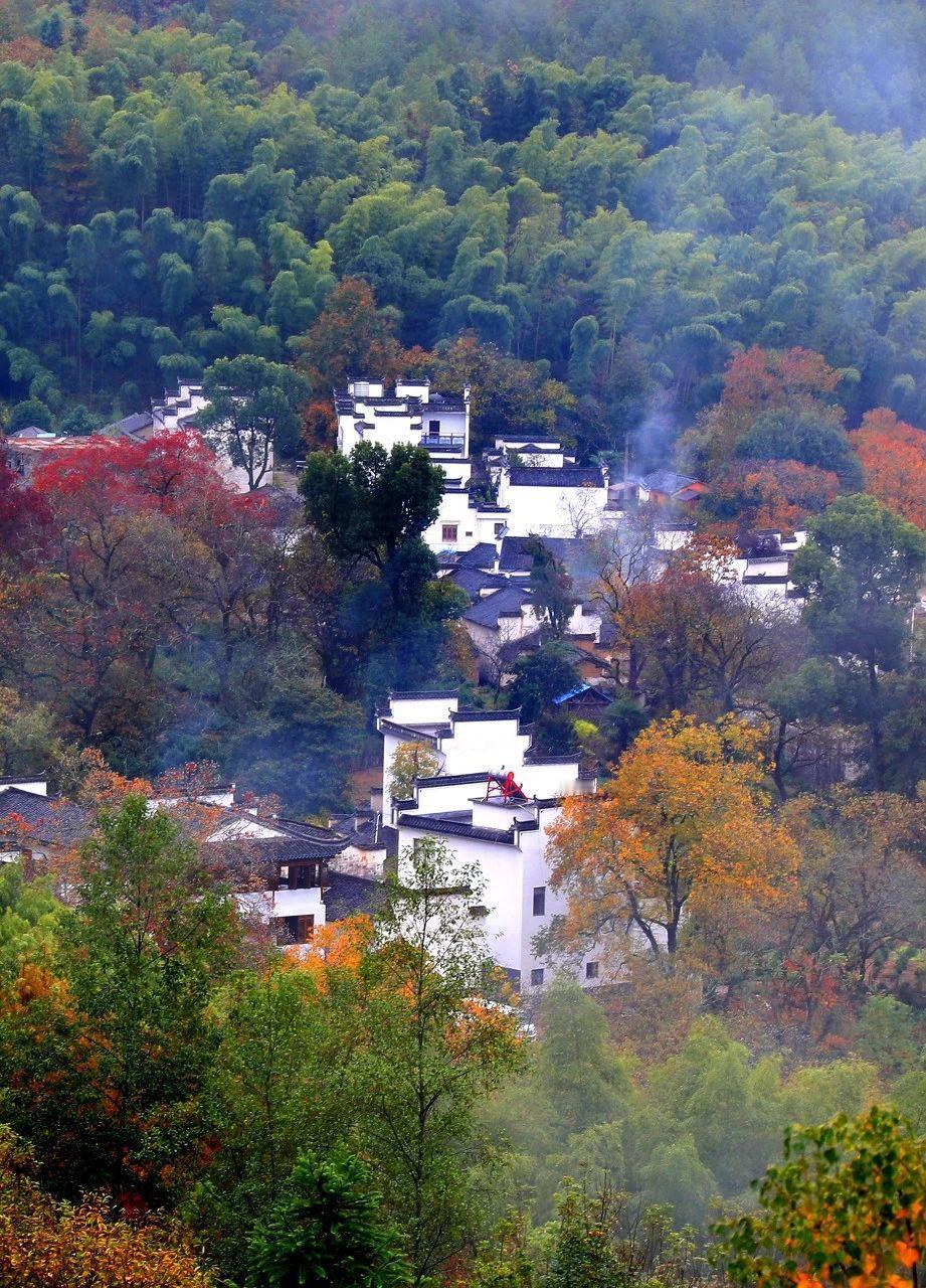 我常跟家长朋友们说，并非学校老师不优秀，而是学校老师要照看的学生太多，实在没那么