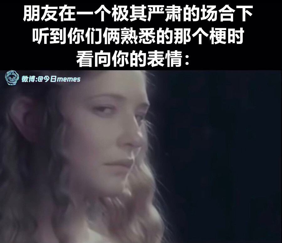 快懂今日meme今日memes