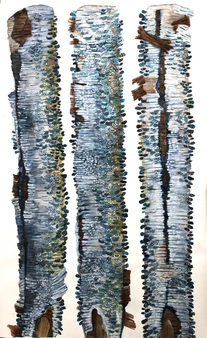 美国艺术家KatieDeGroot（1955年）绘制了大量树枝的“肖像”作品。