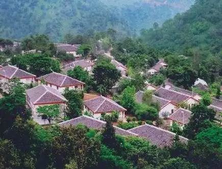 玉屏山森林疗养分享展示
