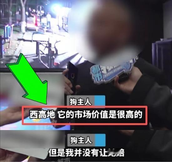 “西高地狗很贵的，你得赔”河南郑州一狗主人遛狗没牵绳也没有狗证，导致一女子手指被