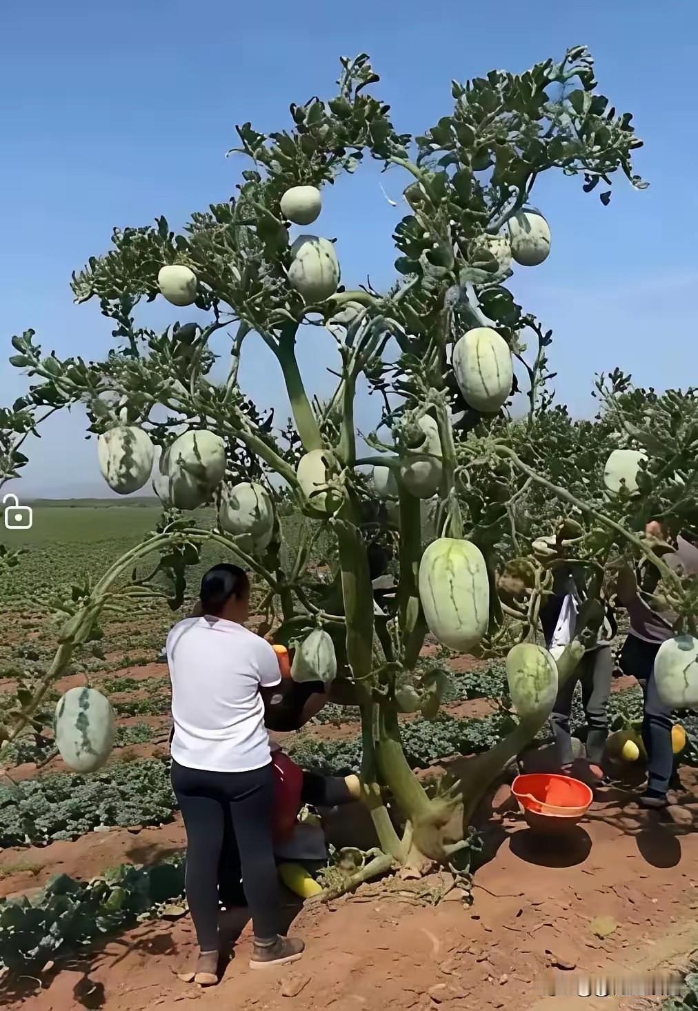 现在的人，是什么都想得出来啊