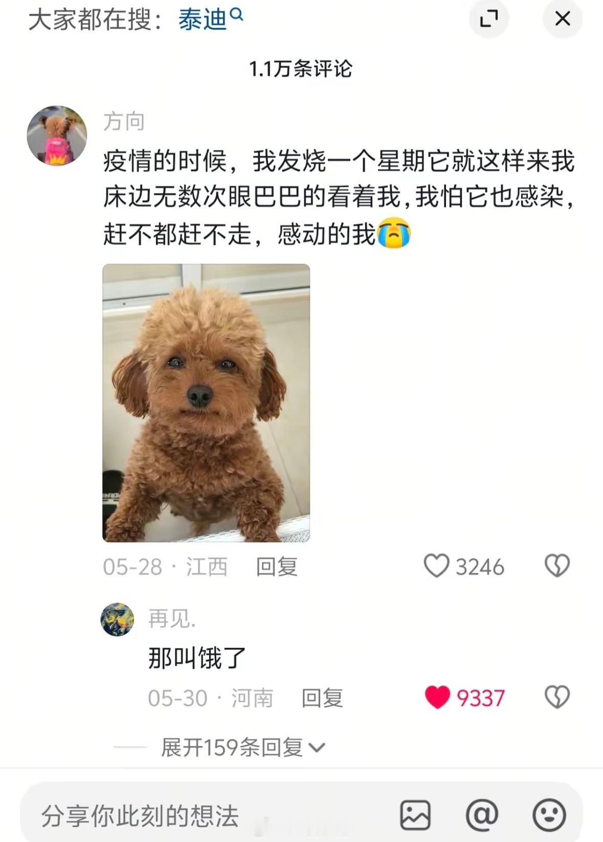 给狗都饿成这样了还感动呢
