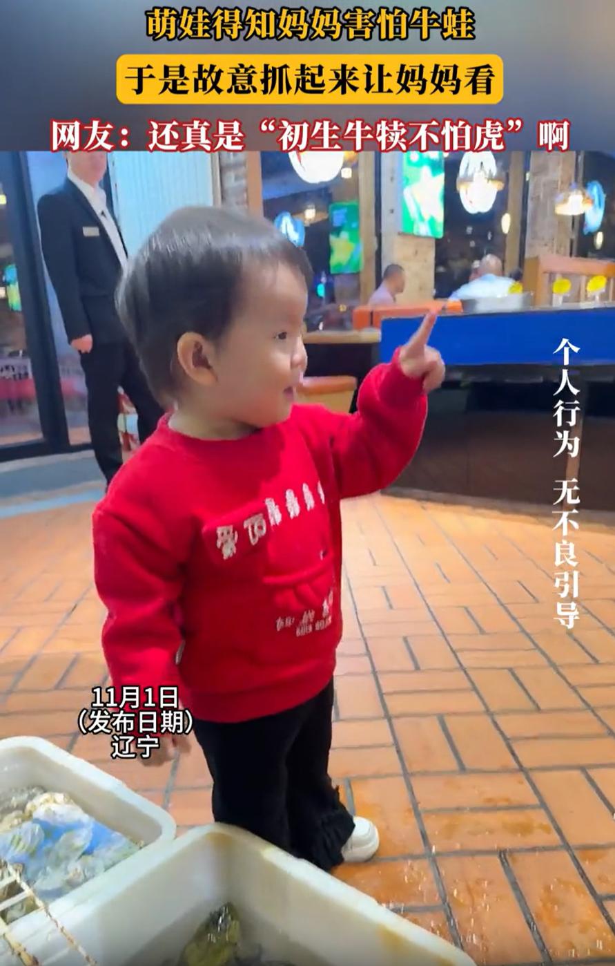 哭笑不得！辽宁，一位妈妈带孩子去饭店吃饭，期间看到饭店地上放着的牛蛙时，被吓了一