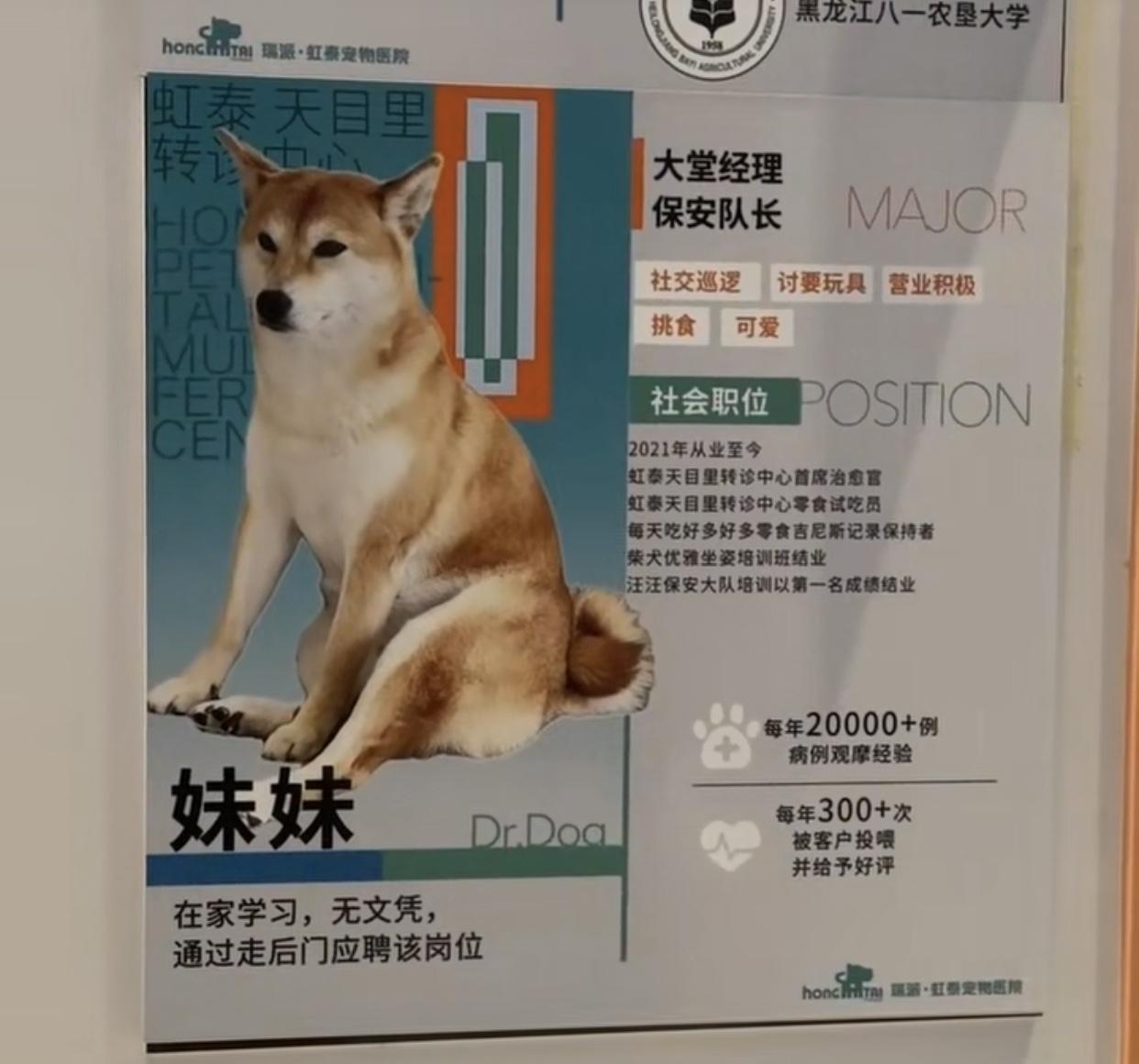 是谁敢这么明目张胆的把走后门写在简历上的！没错，就是“我”！“我”通过走后