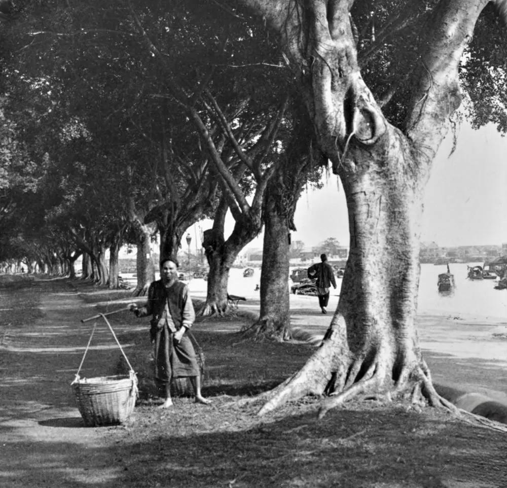 广州街道景色影像·广州广州老城区街景老相片中的广州以前的广州镜头下的广