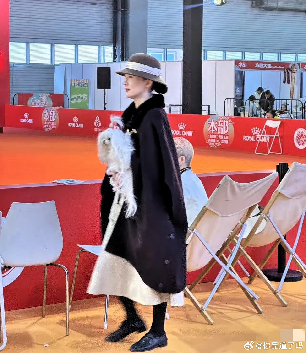 有网友在英国犬展偶遇霍思燕，她真的好爱动物，感觉把这个当成了全身心的事业在追求！
