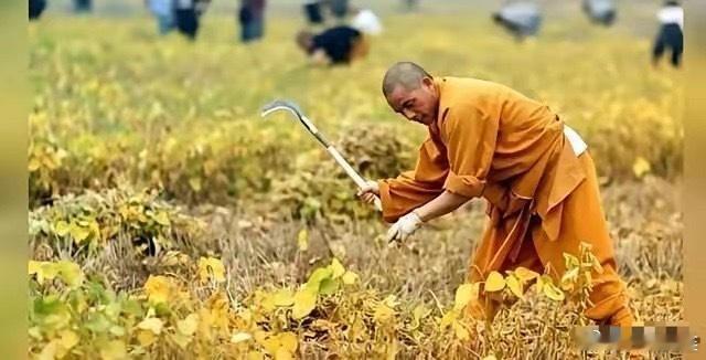 白马寺方丈释印乐果然是一股清流，一人执掌两大千年古刹（白马寺、少林寺）。竟然一点