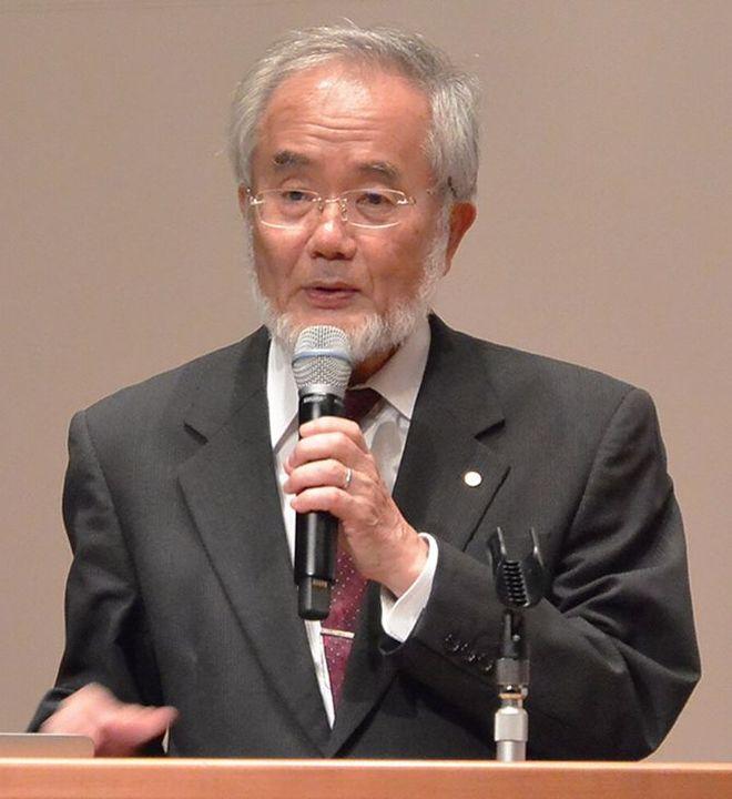 日本生物学家大隅良典因为发现了饿肚子时身体靠“吃掉”受损细胞来自我清理的机制拿了