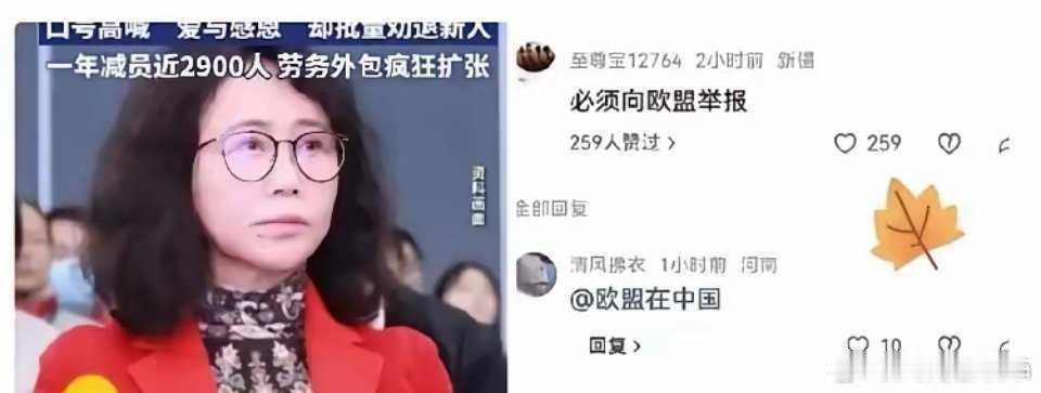 胡锡进称劳动仲裁要硬起来老胡终于说了一句人话：面对像星宇事件，劳动仲裁机构要依