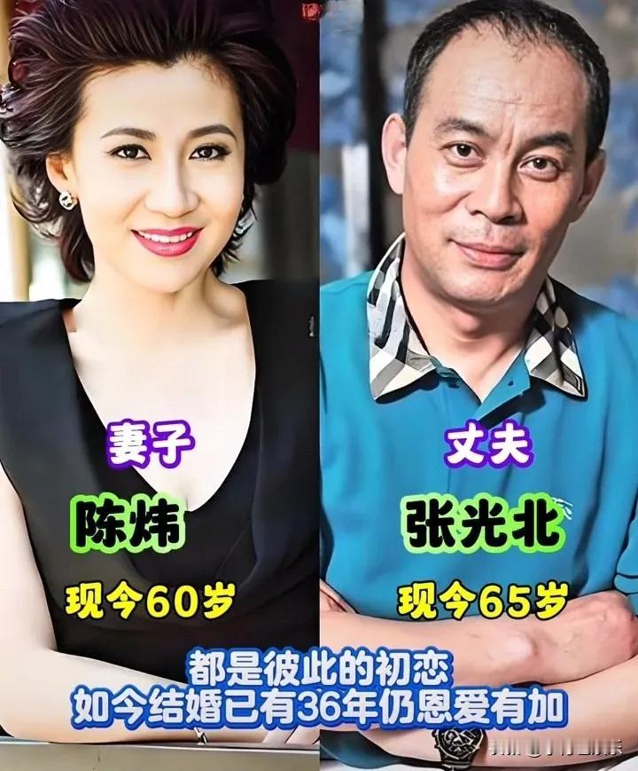 王阳夫妻俩。张学友夫妻俩。唐嫣夫妻俩。李小萌夫妻俩。刘晓洁夫妻俩。姜武