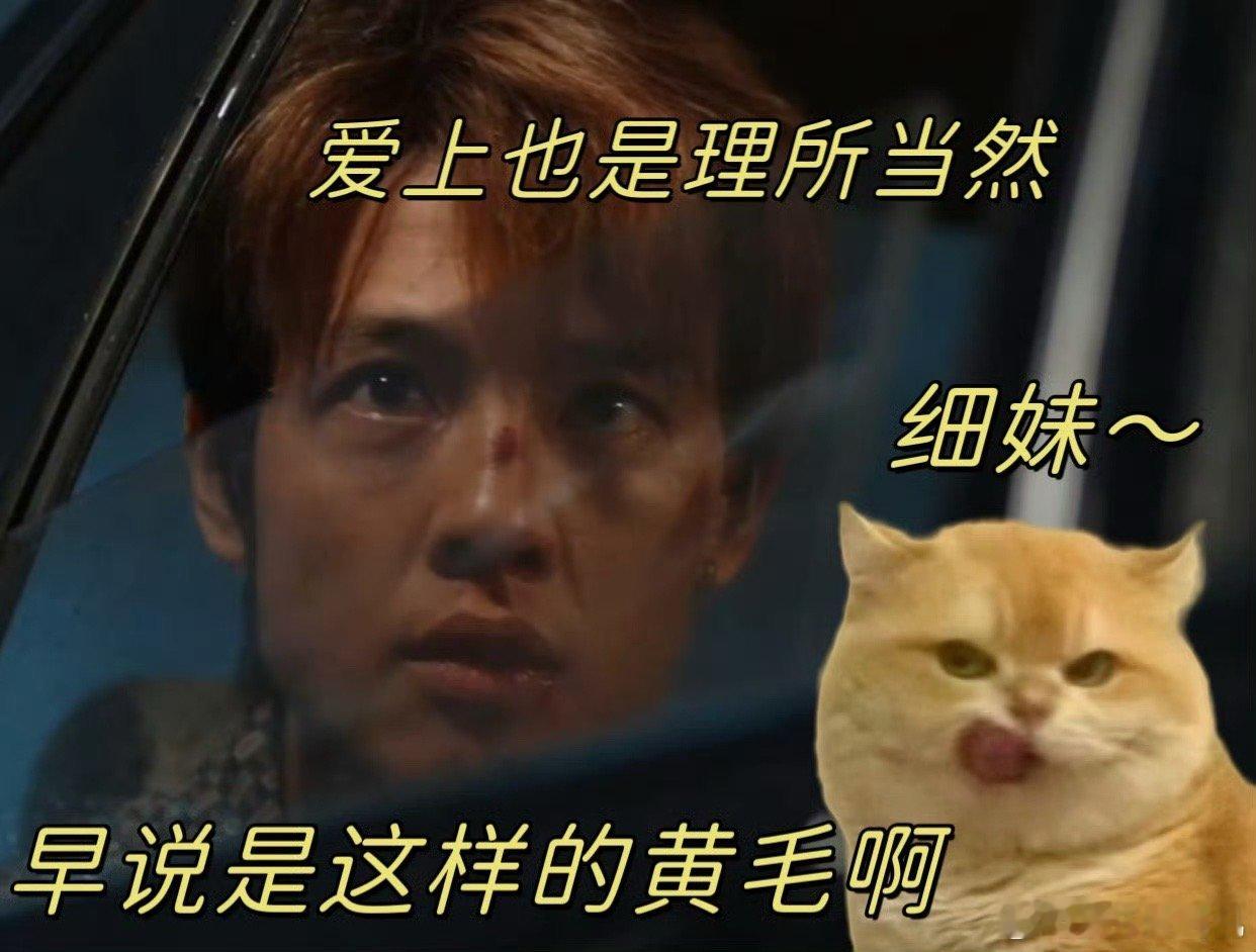 爱上尹昉也是理所应当电视剧命悬一生曹小军一直想拉他回头，可倪向东似乎早已接受了
