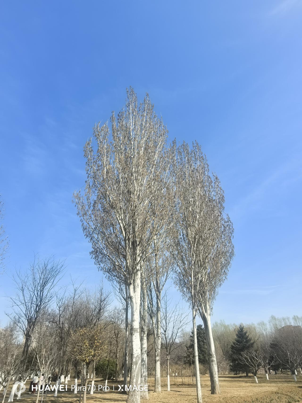 退休以后，应该学会把复杂的生活过到简单；把简单的生活过到精致。回归社会，成为