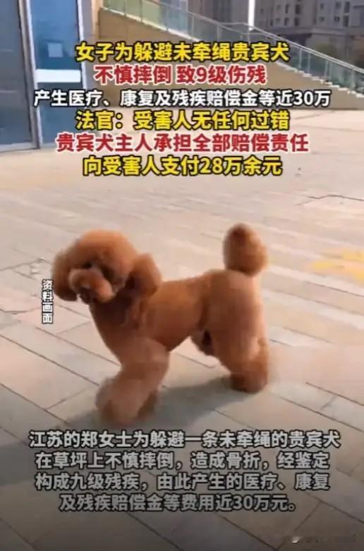 “大快人心！”江苏常州，一女子在早上晨练后准备回家，谁知在路上突然窜出一条没牵绳