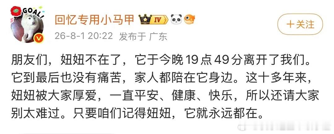 时间过的好快回忆专用小马甲萨摩耶妞妞去世了