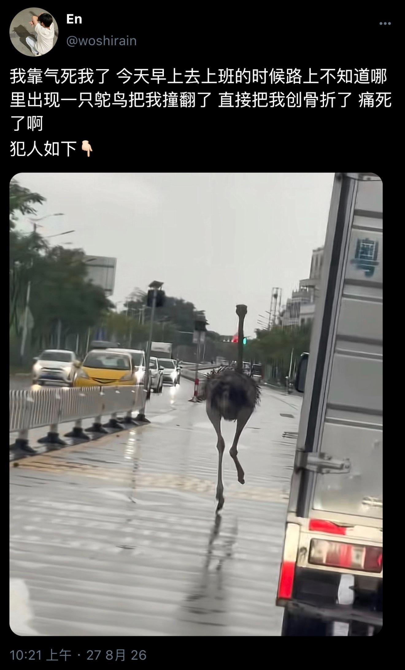 今天更个搞笑的一发完。晚上发​​​
