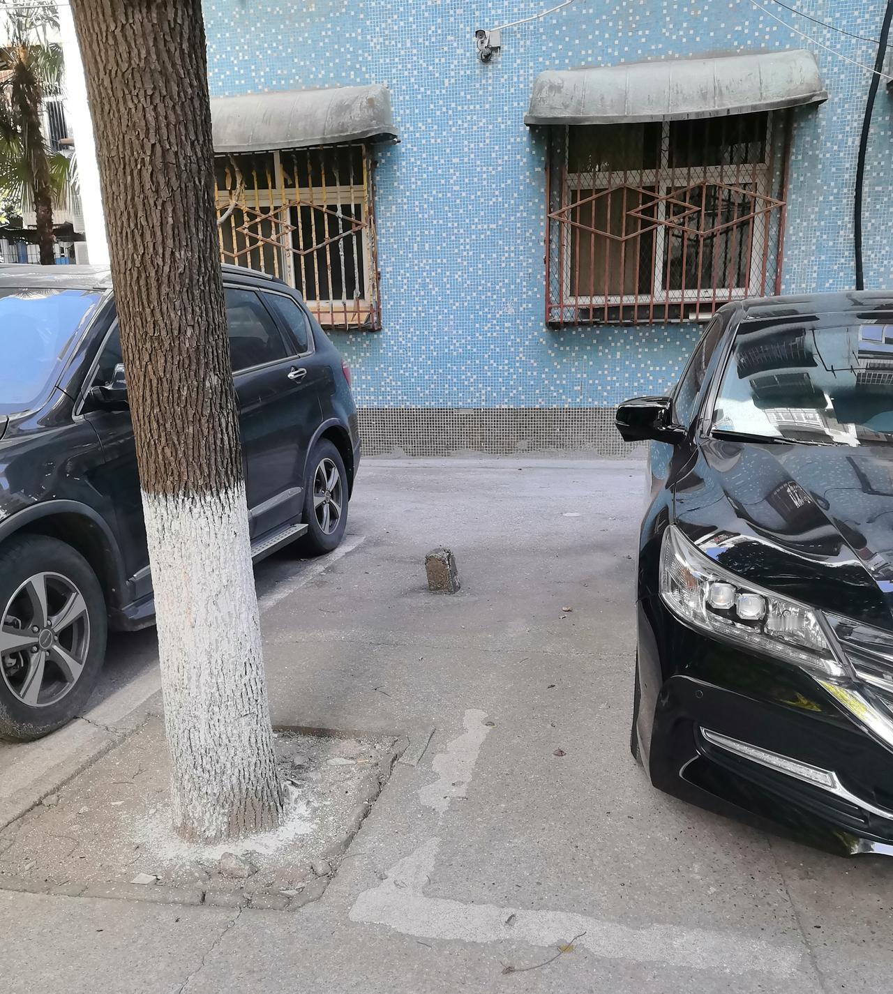 有个业主让我们把这个墩子给挖掉，她说每天晚上停车看不见好几次撞上去了，很危险