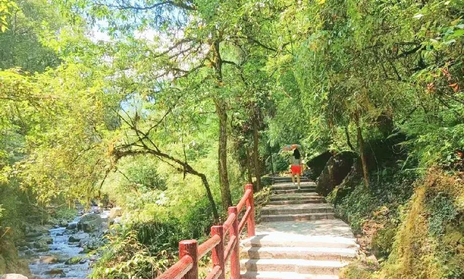我姑妈在大邑大飞水避暑，那里气温凉爽，有山有水有森林，而且离西岭雪山近，环境幽静