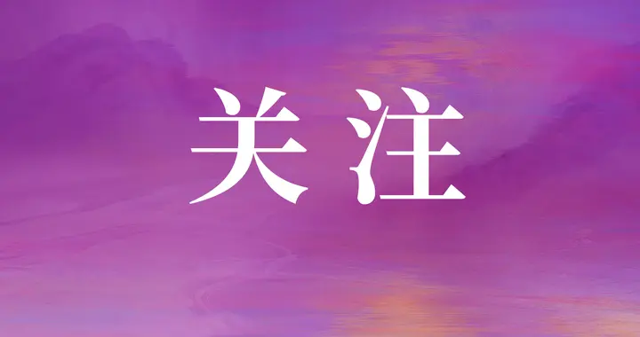 i茅台回应外挂软件质疑：平台无批量非常规消费行为
