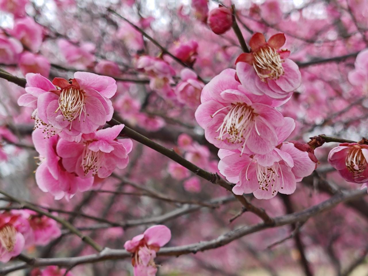 别再瞎养生了！真正的健康，是戒掉这3个“隐形杀手”谁懂啊！现在人养生比上班