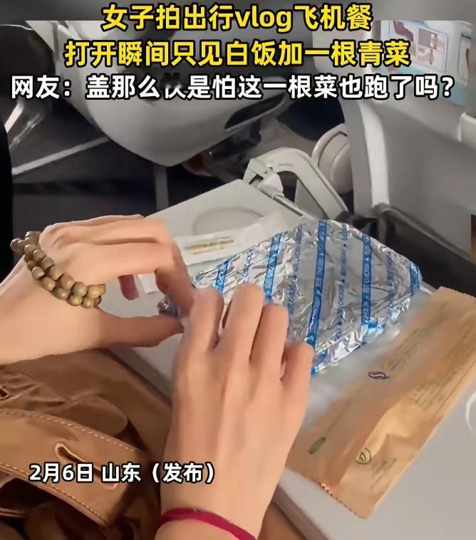 伤害性不高侮辱性极强！山东，一女子坐飞机出行，飞机起飞不久空姐就端上来飞机餐，万