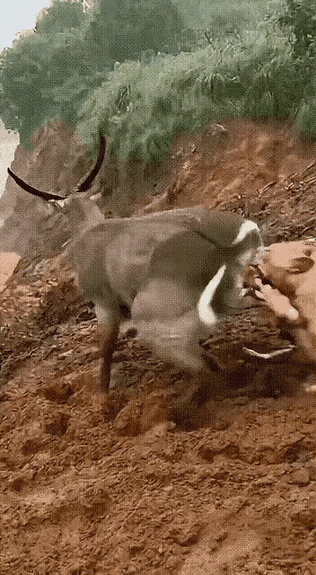 生命只有一次，每个活着的生命都应当珍惜不过有很多平凡活着的生命，处处都是危机