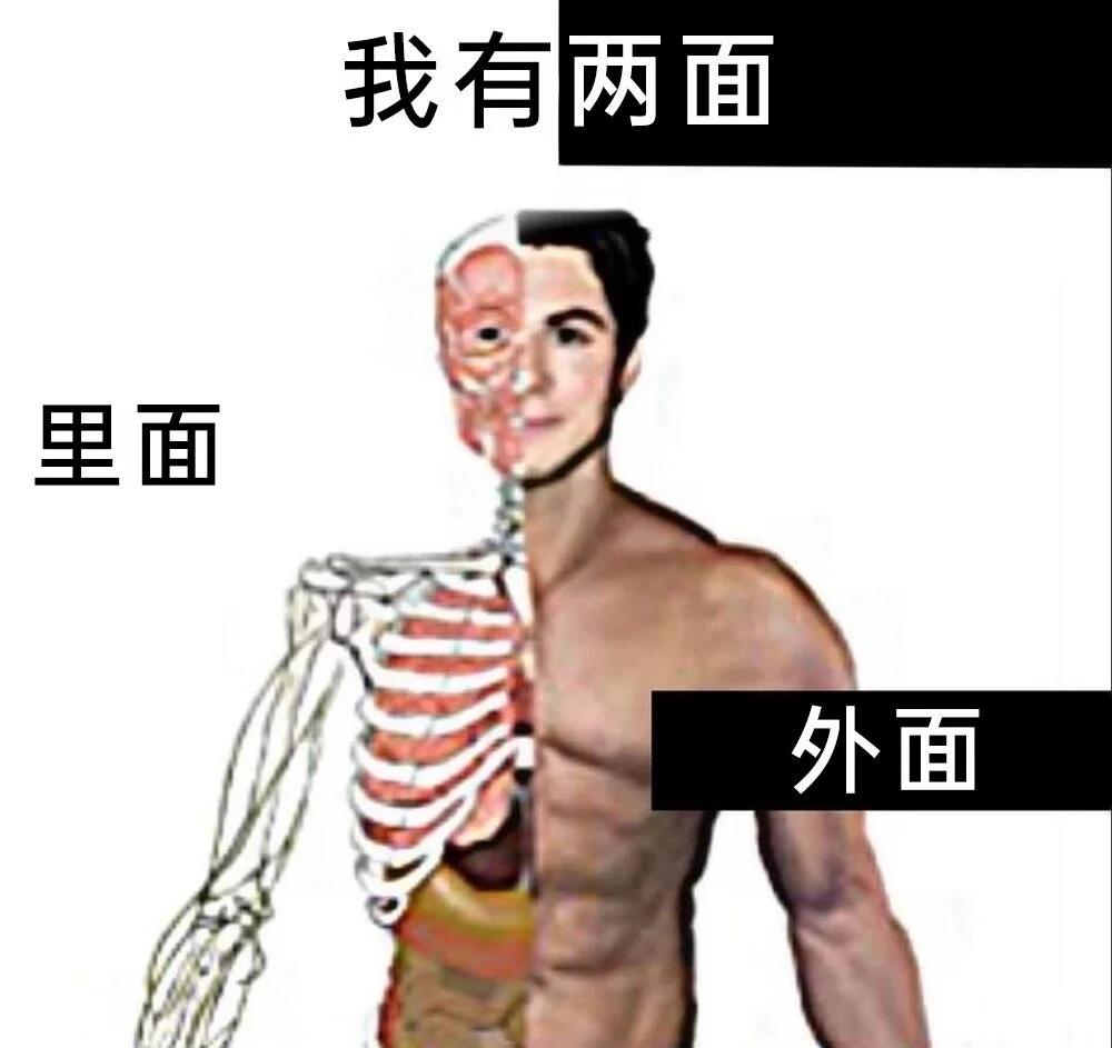 meme一下：还是个双面派！meme图memememesmeme梗图梗