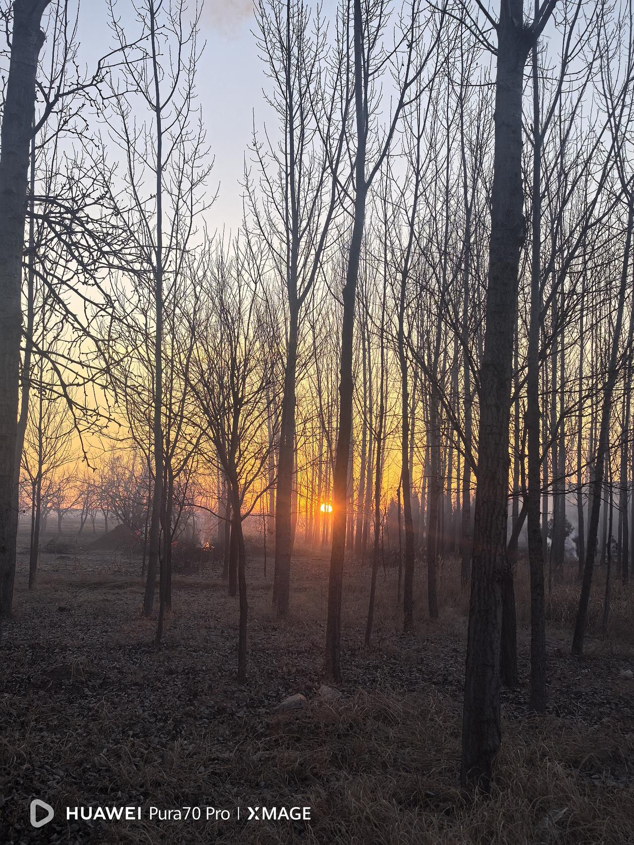 今天是除夕，按照我们老家的习俗，除夕早晨上坟，上完坟再回来吃早饭。早晨5：3