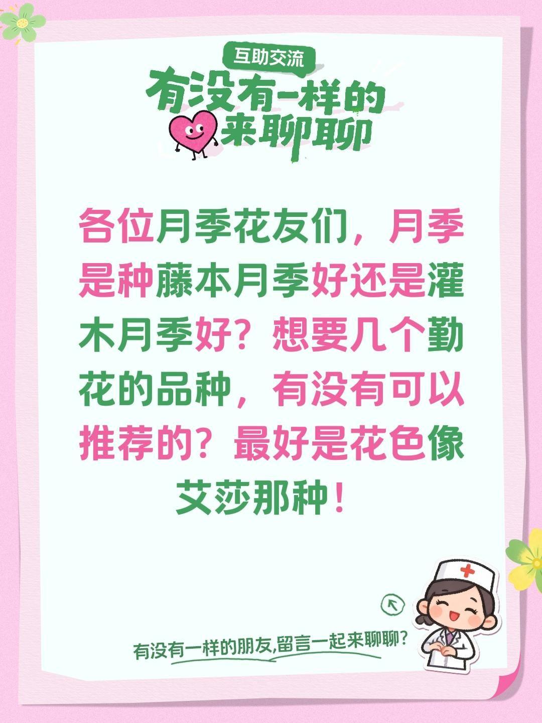 各位月季花友们，月季是种藤本月季好还是灌木月季好？想要几个勤花的品种，有没有可以