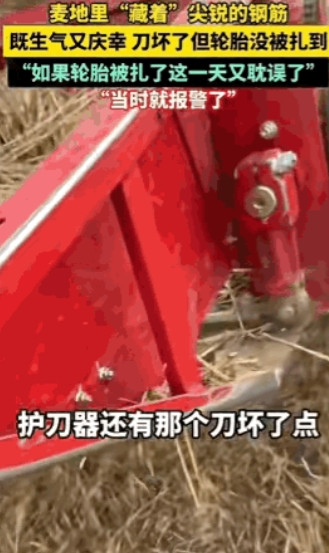 真是缺德坏透了！"河北临漳，女子开收割机收麦，割到地中间时发现麦地里藏着尖锐的钢