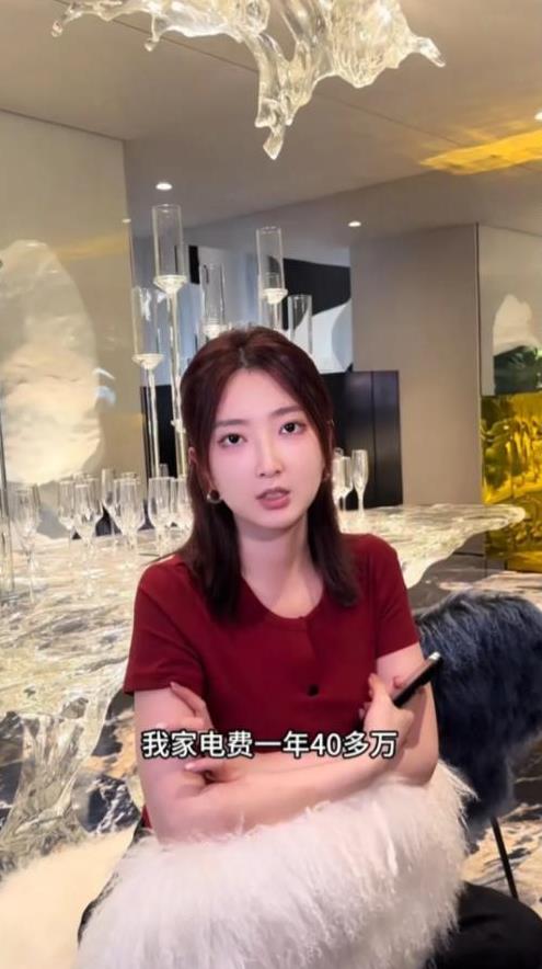 就说全球变暖赖不上我们！浙江33岁女子透露，她家电费一年要交40多万，1000平