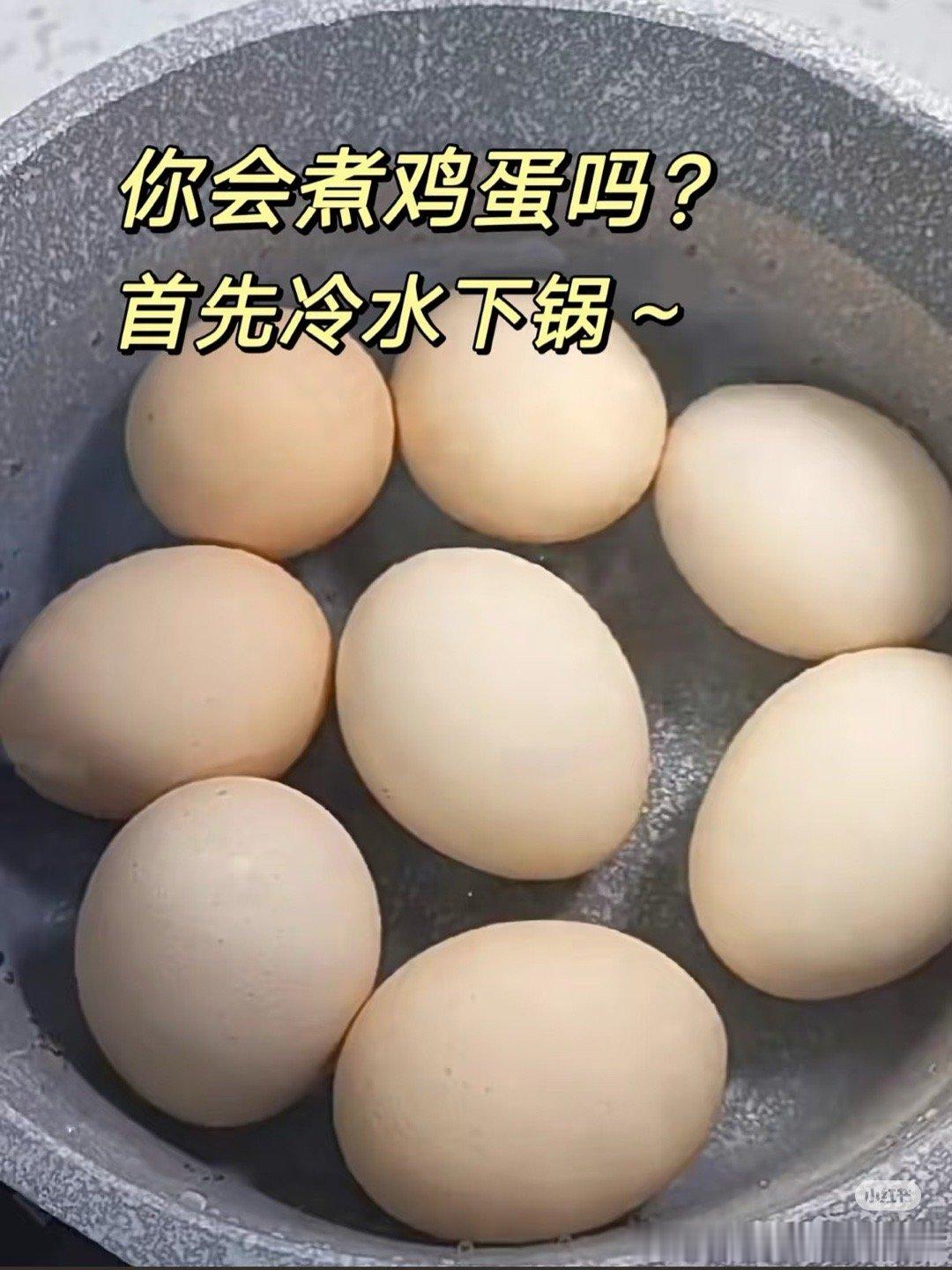 煮鸡蛋忘了关火后诞生的艺术作品你会煮鸡蛋吗🥚冷水下锅，可以直接放水里煮，也可以