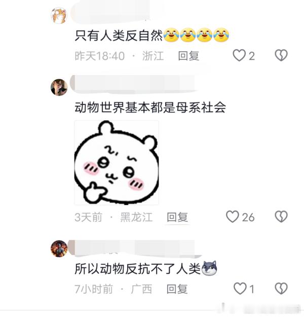 顺直楠的智商就这样