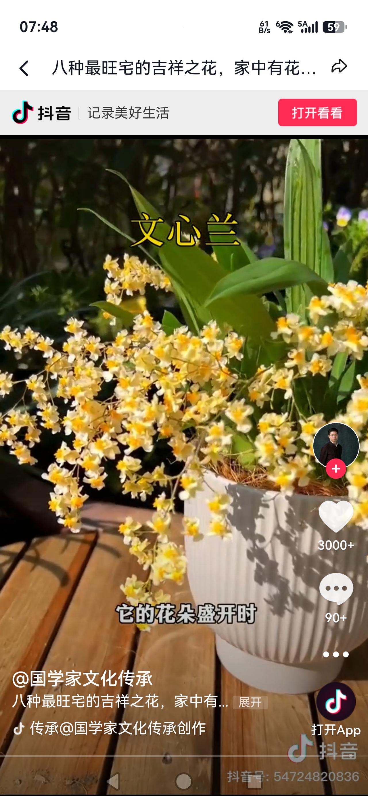 《“花旺人，人养花”！这6种花再穷也要养一盆，对家人健康好处多到数不清》民间