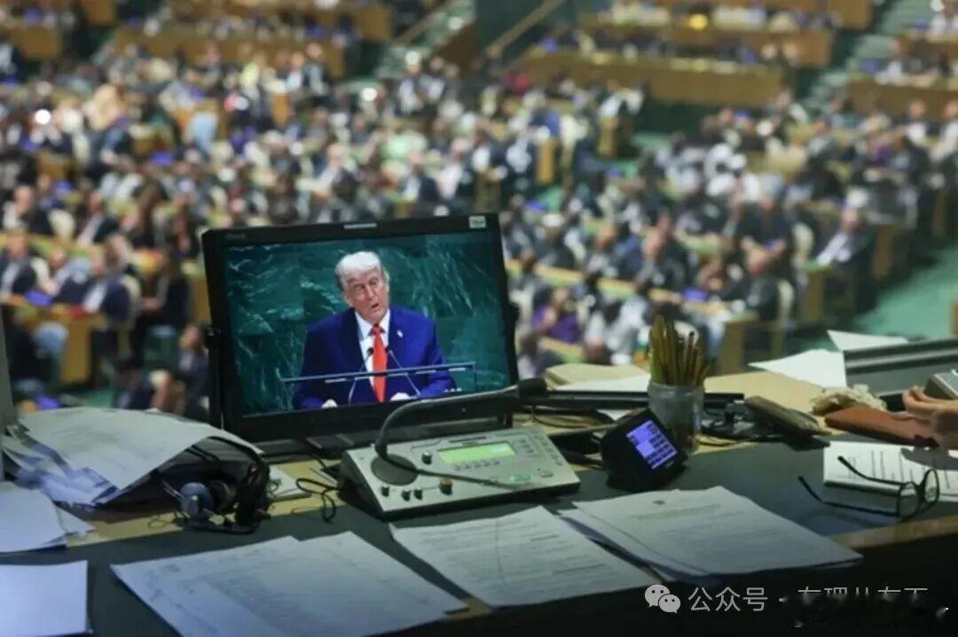 “赖账王”也怕被轰下桌：美国补交联合国会费了当地时间2月6日，美国驻联合国大使迈