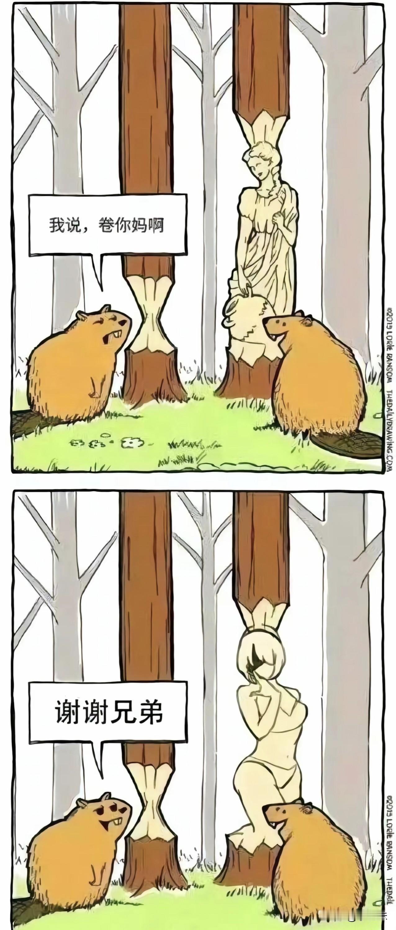 你看懂了吗？现在就是这么卷，你觉得卷好不好？