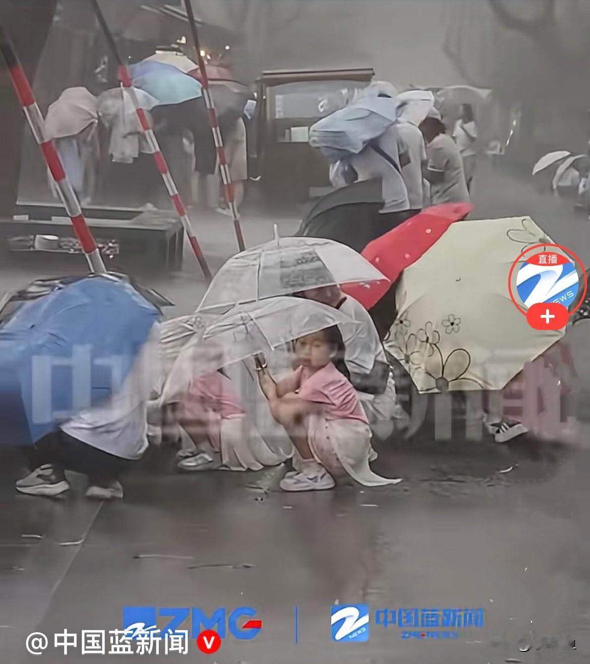8月8日杭州西湖断桥这一幕，看完真是捏一把汗……明明提前已经发布台风预警，断桥