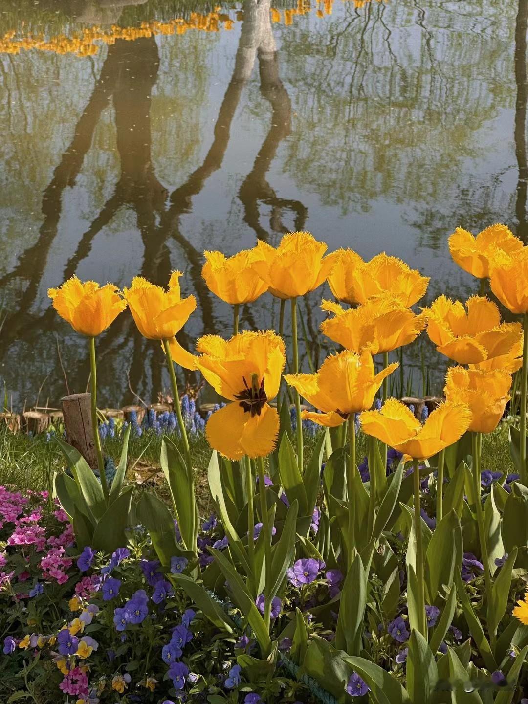 有没有发现，那些过得好的夫妻，往往都是很少社交的。夫妻关系如同盆栽，需要静心