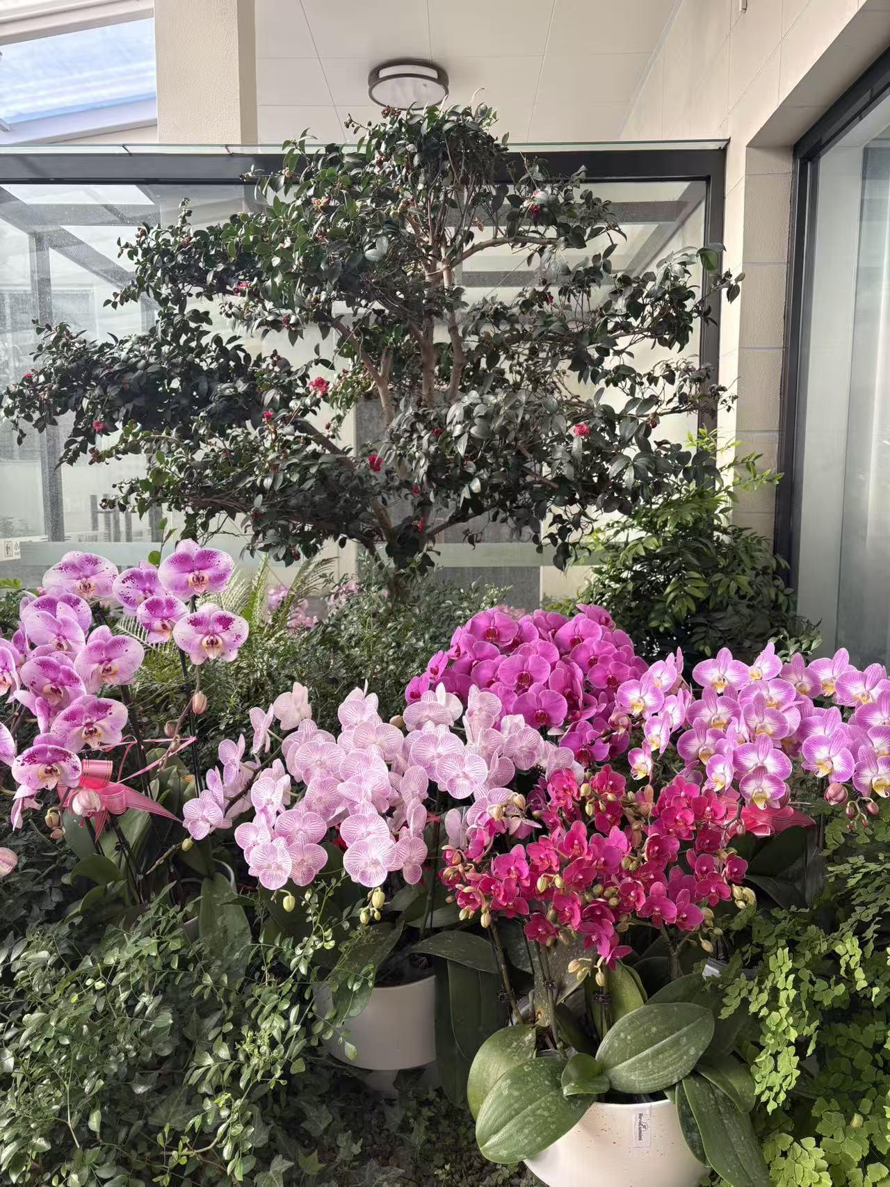 人一旦退休就没人理睬，这说法虽有点扎心，但也有几分道理。那些退休前前呼后拥的人