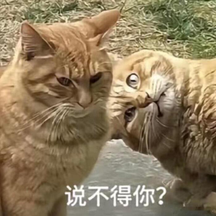 孙宇晨灰产警察：你先回国再说，来，先回国。​​​