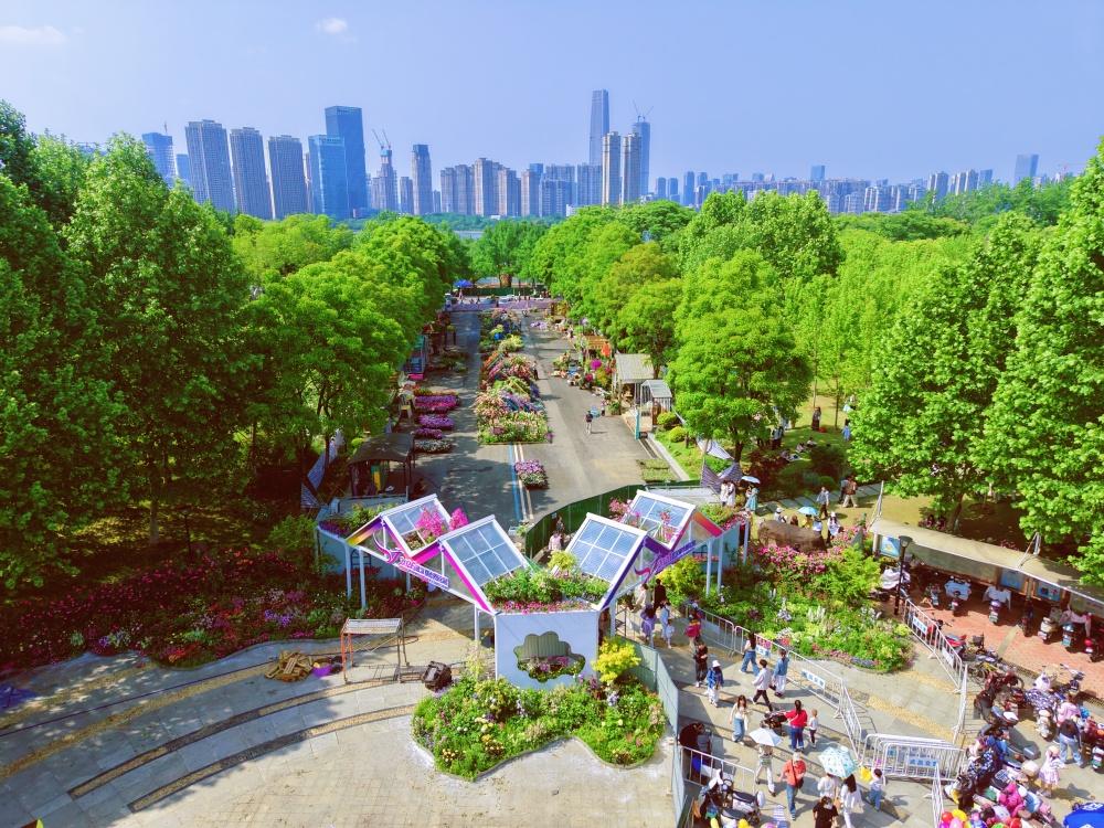 【2026武汉都市圈花展将启】2026“武汉都市圈”花展将于4月29日至5月5日