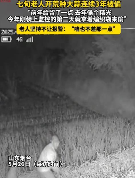 “太缺德了！”5月23日，山东烟台，70多岁老人辛苦种蒜，却连续被偷了3年，一气