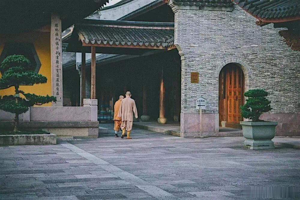 致从春到夏的岁月·默斋主人原创自由诗岁月并非惊雷破空也非骤雨洗尘它自有章法，且极