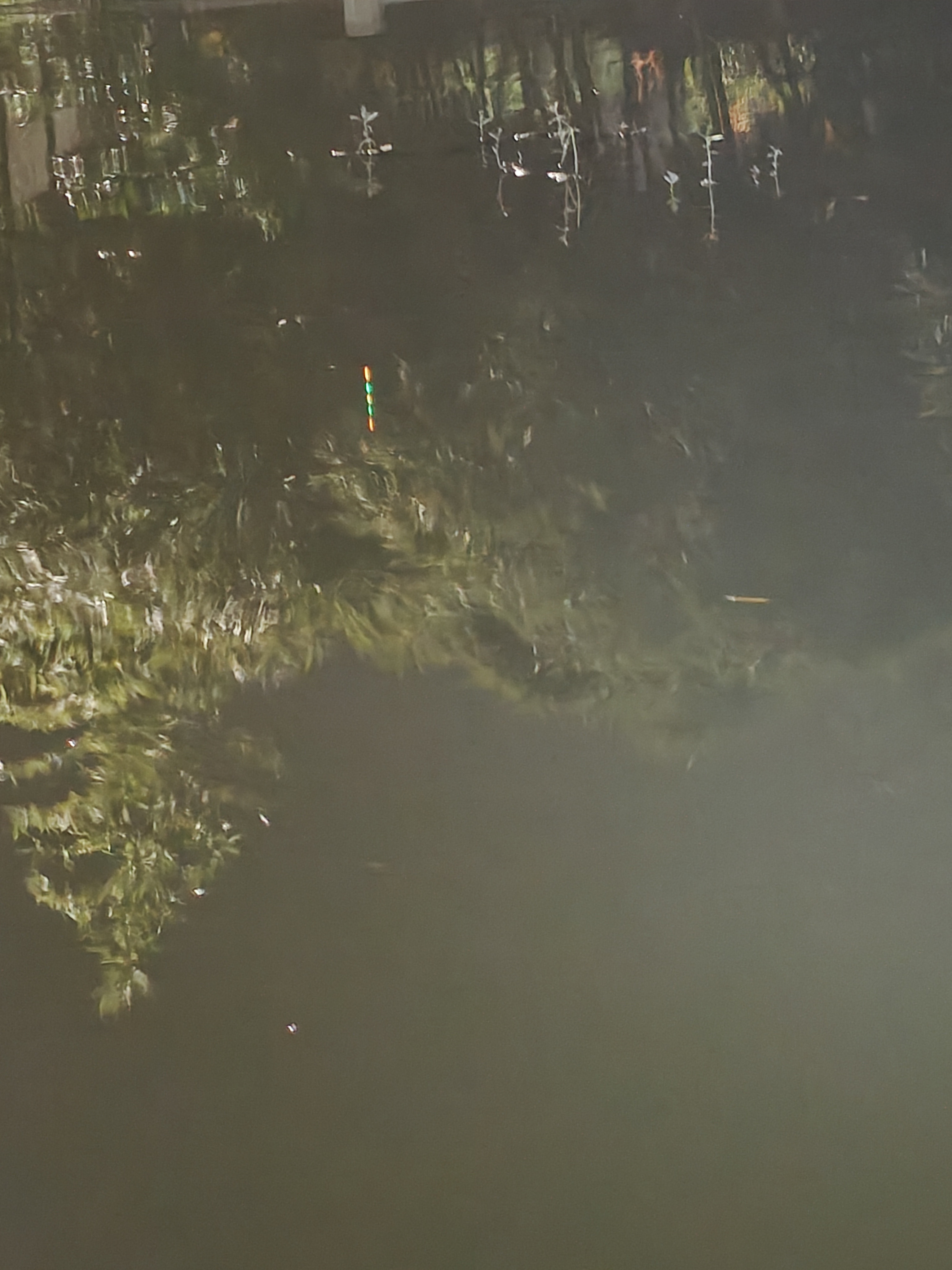 杭州的鱼资源是真差，一礼拜就礼拜天有时间出来钓一下鱼，口都没有[doge][doge]蒜