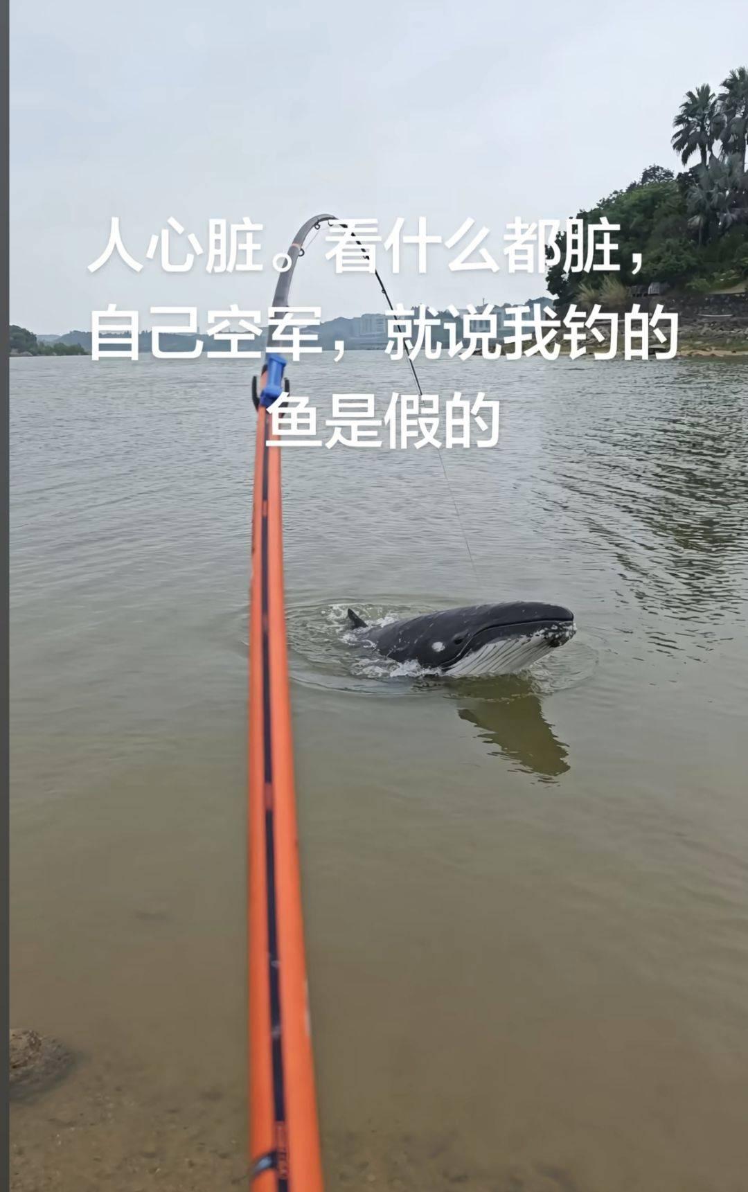 唉，钓鱼这东西靠的就是实力