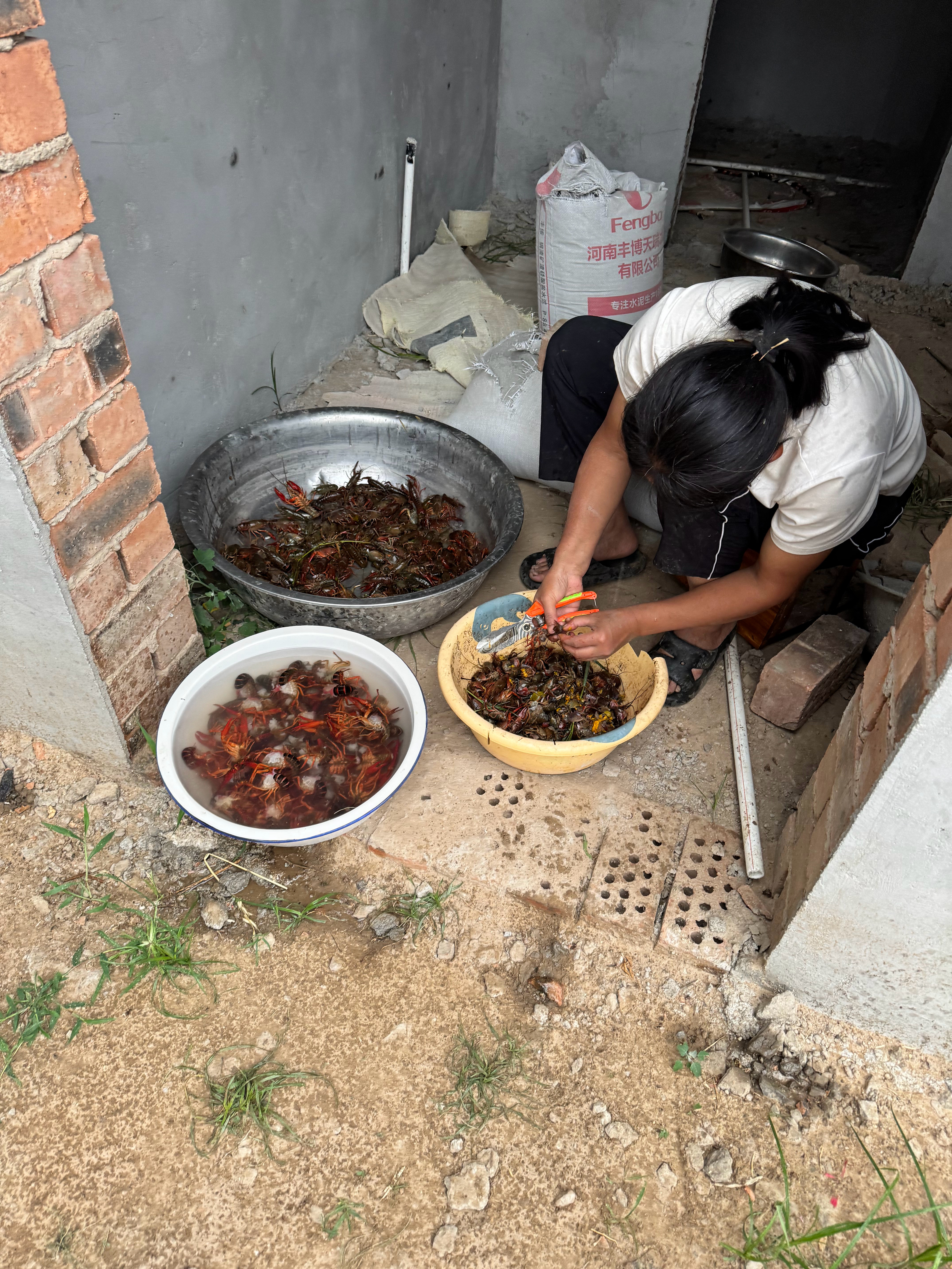 还是佩服嫂子，一个人下河摸这么多龙虾，有点东西的​​​
