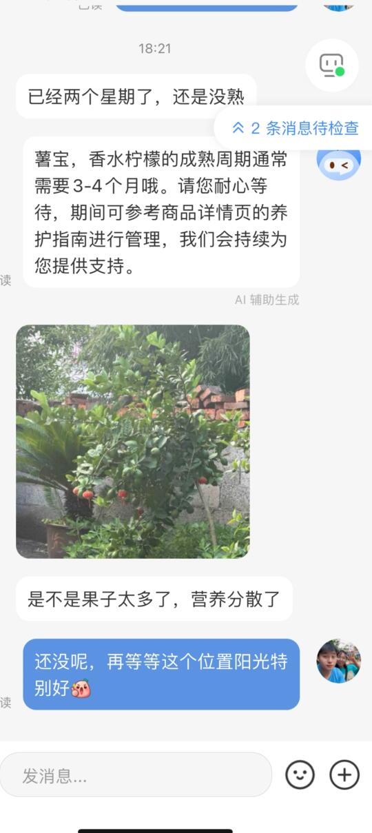 买家反馈时隔一年一次接果50多个果太牛了