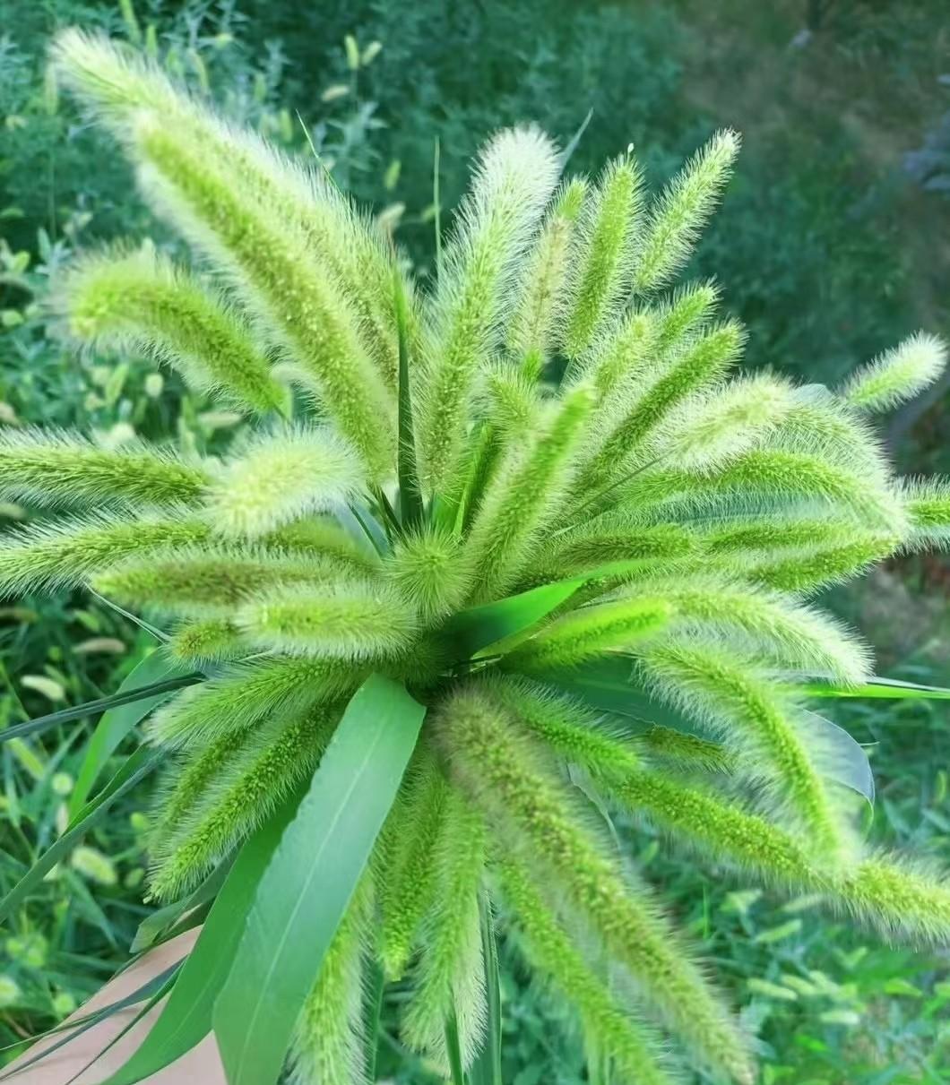 今天小区有个邻居问我有没有存款100万。我告诉她没有，她又说:“怎么可能你这
