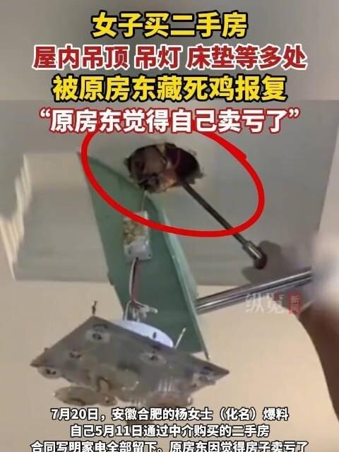 底线彻底撕破了，不装了！2026年7月20日河南大河报报道，安徽合肥杨女士5月