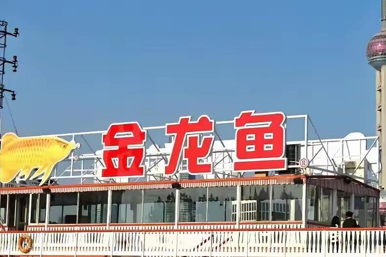 家里吃了十几年的金龙鱼，一边是扫码能查全程的安心，一边是偶尔曝出的争议，它到底还